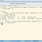 setproctitle (A Python module to customize the process title)